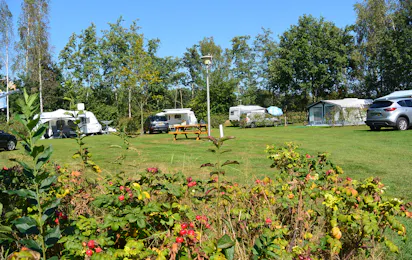 Camping Jelly's Hoeve