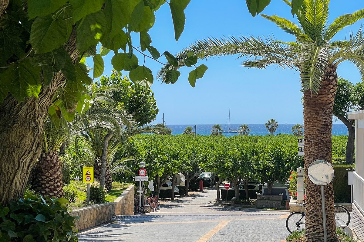 Camping Joan -  Standplätze unter Bäumen