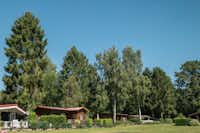 Camping Jocomo - Bungalows und Holzhütten auf dem Campingplatz unter Bäumen