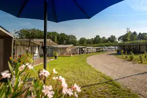 Camping Jocomo - Stellplätze an einer Strasse des Campingplatzes