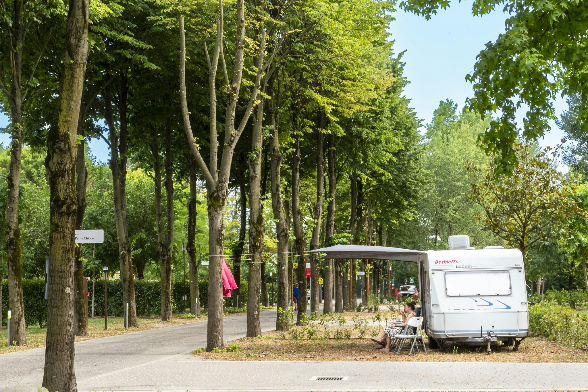 Wohnmobil am Straßenrand zwischen hohen Bäumen, daneben ein Tisch und Stühle auf dem Campingplatz.