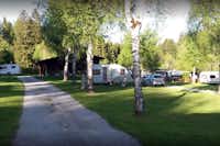 Camping Judenstein  -  Wohnwagenstellplatz und Wohnmobilstellplatz vom Campingplatz zwischen Bäumen