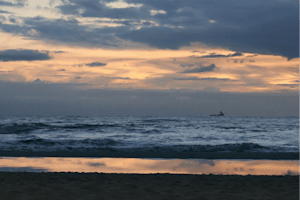 Camping Julianadorp Aan Zee - Blick auf den Strand in der Nähe des Campingplatzes