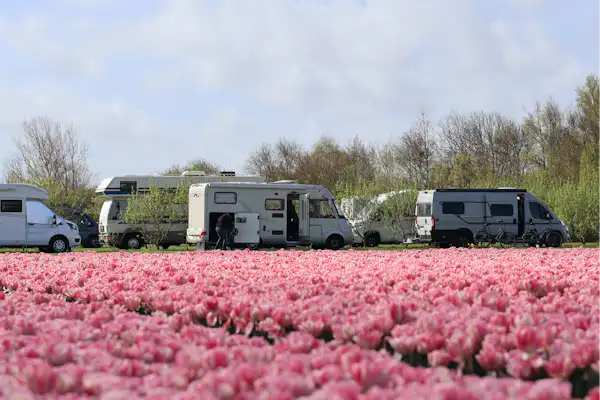 Camping Julianadorp Aan Zee