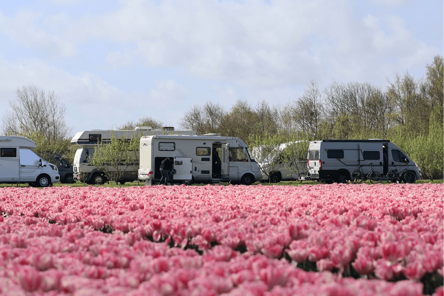 Camping Julianadorp Aan Zee