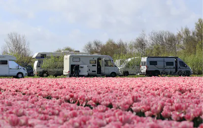 Camping Julianadorp Aan Zee
