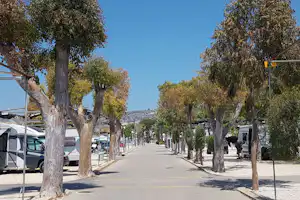 Camping Jávea - Stellplatz vom Campingplatz zwischen Bäumen