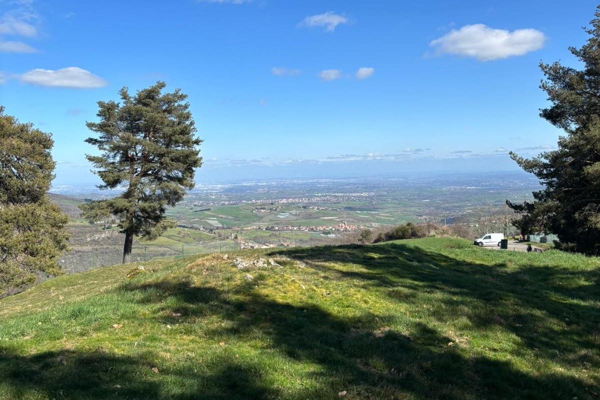 Grüner Hang mit Gras, Bäumen und Aussicht ins Tal unter blauem Himmel mit Wolken.