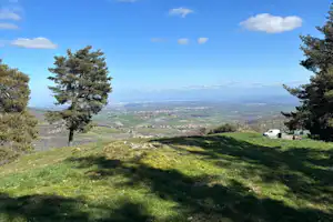 Grüner Hang mit Gras, Bäumen und Aussicht ins Tal unter blauem Himmel mit Wolken.