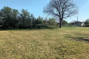 Weite Campingwiese mit einem großen Baum, Hecken und einem Gebäude am Rand.