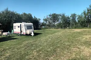 Wohnmobil auf einem Stellplatz im Grünen, mit Tisch und Stühlen am Rand, umgeben von Olivenbäumen und Rasen.