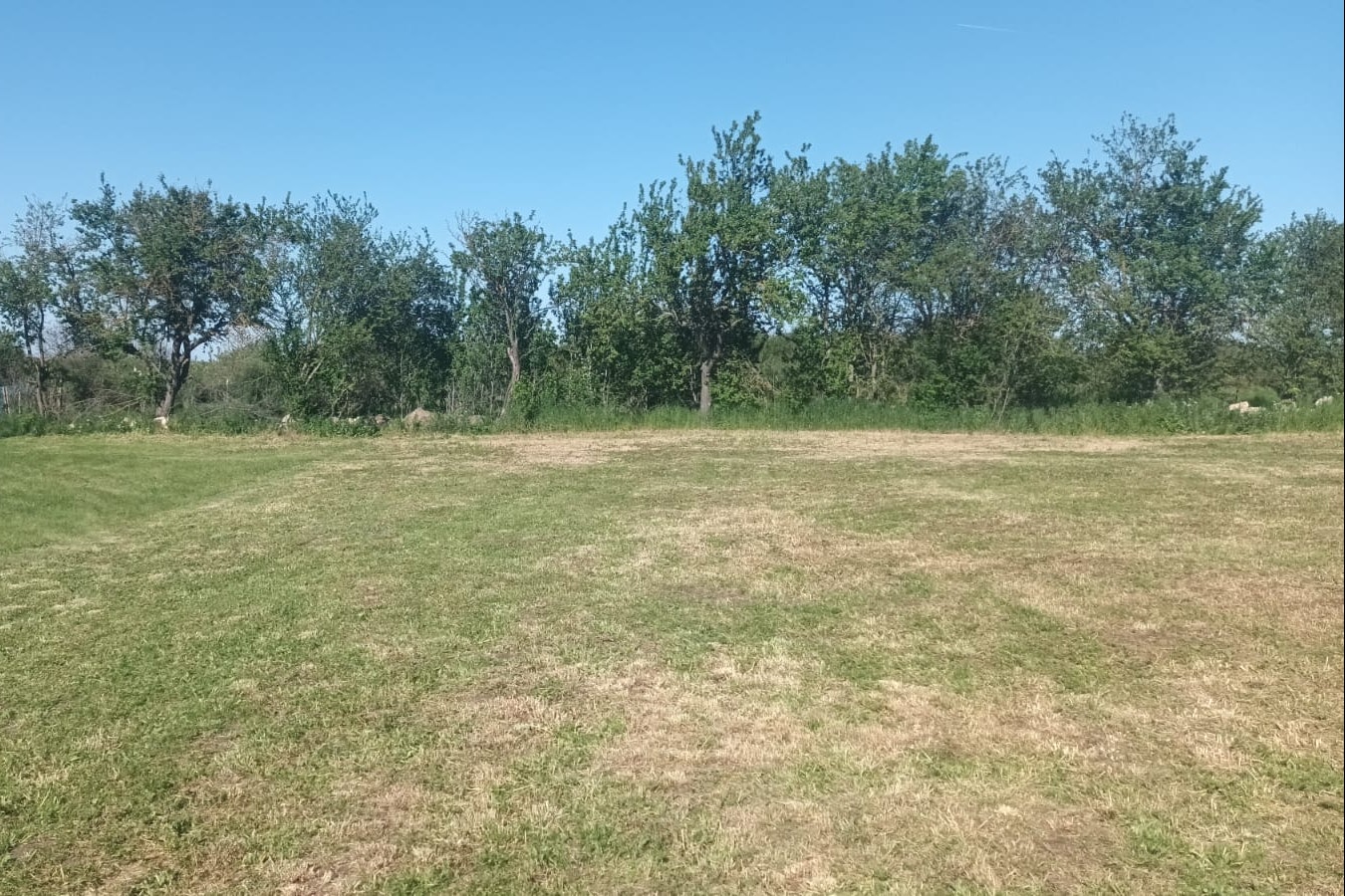 Camping Kaloyan - Standplatzwiese auf dem Campingplatz