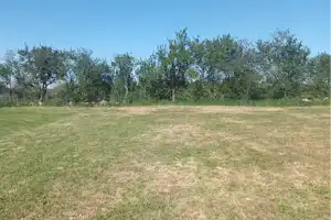 Weite Campingwiese mit trockenem Gras, umgeben von Bäumen und Sträuchern vor klarem Himmel.