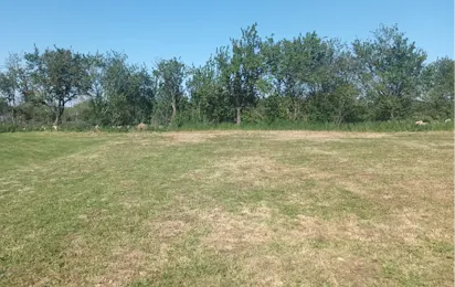 Camping Kaloyan
