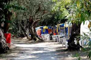 Camping Karda Beach - Zeltstellplätze im Grünen auf dem Campingplatz