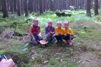 Camping Karolina - Kinder vor einem großen Pilz im Wald in der Nähe des Campingplatzes-
