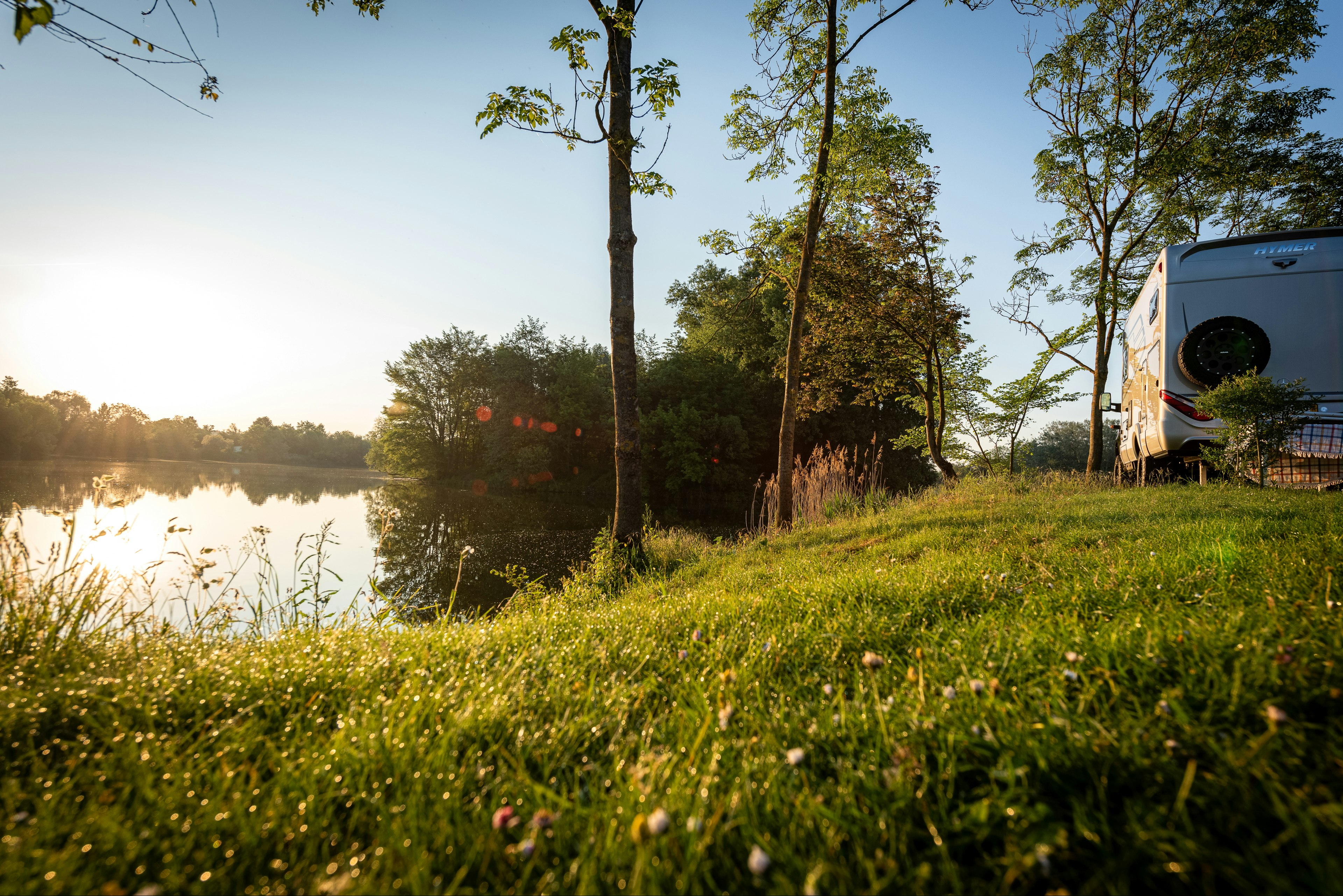 Campingzelt am Seeufer auf einer grünen Wiese, im Hintergrund Bäume und ruhiges Wasser bei Sonnenlicht.