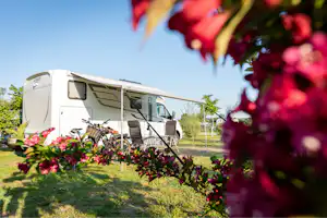 Wohnmobil auf einem Campingplatz, im Vordergrund Blumenbeete und Rasenfläche, im Hintergrund Bäume und ein Stellplatzweg.