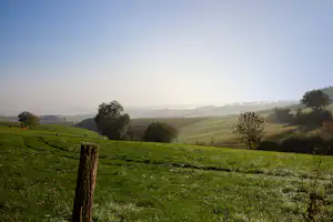 Grüne Wiesenlandschaft mit Zaunpfosten, Bäumen und weiten Hügeln im Hintergrund.