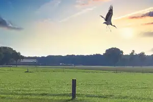 Camping Kempenstee - Sonnenuntergang über den Feldern