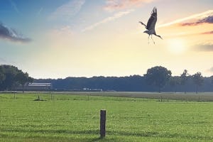 Camping Kempenstee - Sonnenuntergang über den Feldern