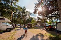 Camping Kiefernhain - Stell- und  Wohnwagenstellplätze  im Grünen auf dem Campingplatz