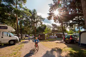 Camping Kiefernhain - Stell- und Wohnwagenstellplätze im Grünen auf dem Campingplatz