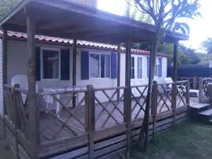 262140097.jpg