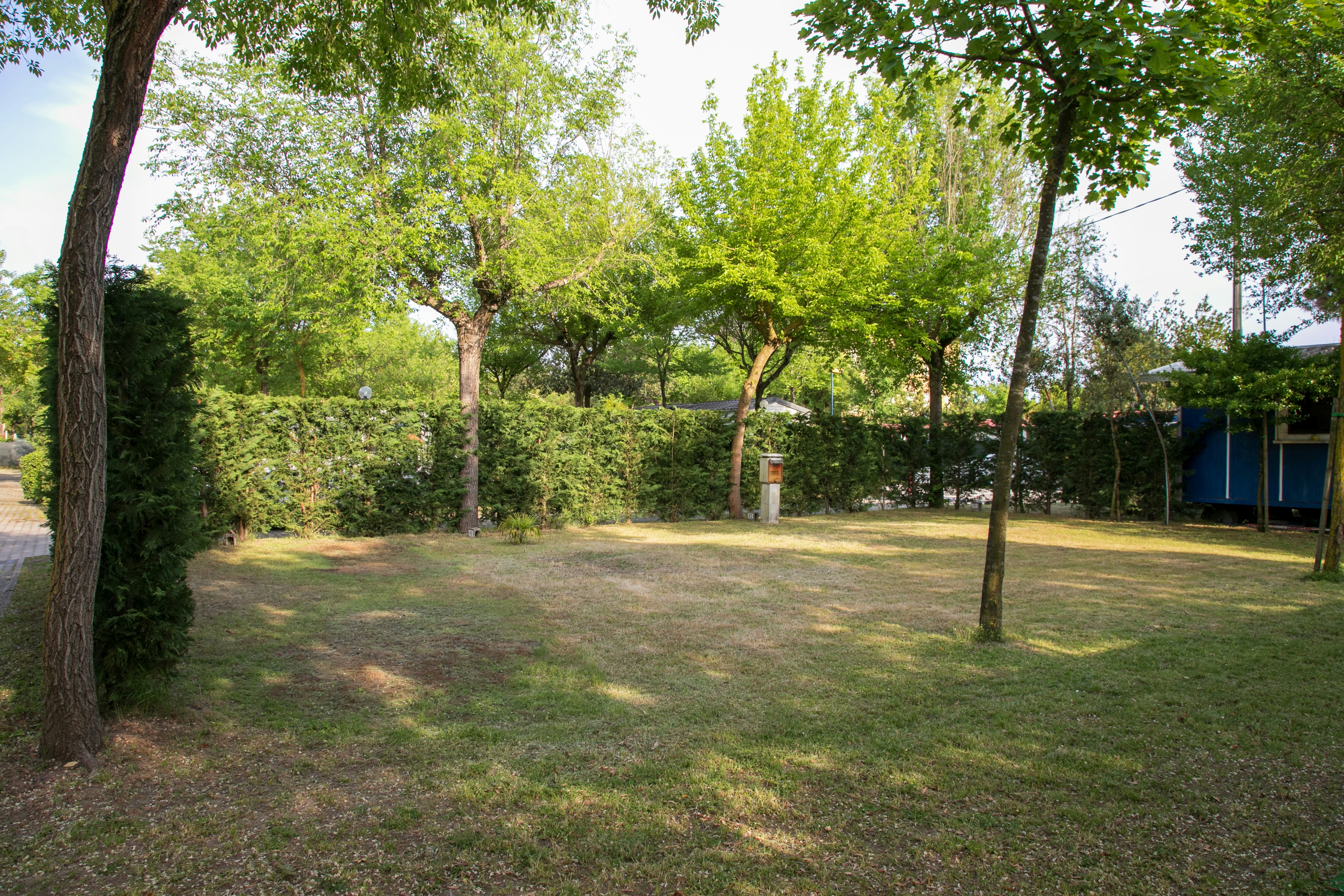Grüner Campingplatz mit Rasenfläche, Bäumen und Hecken, im Hintergrund ein Gebäude und ein blauer Container.
