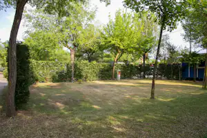 Grüner Campingplatz mit Rasenfläche, Bäumen und Hecken, im Hintergrund ein Gebäude und ein blauer Container.
