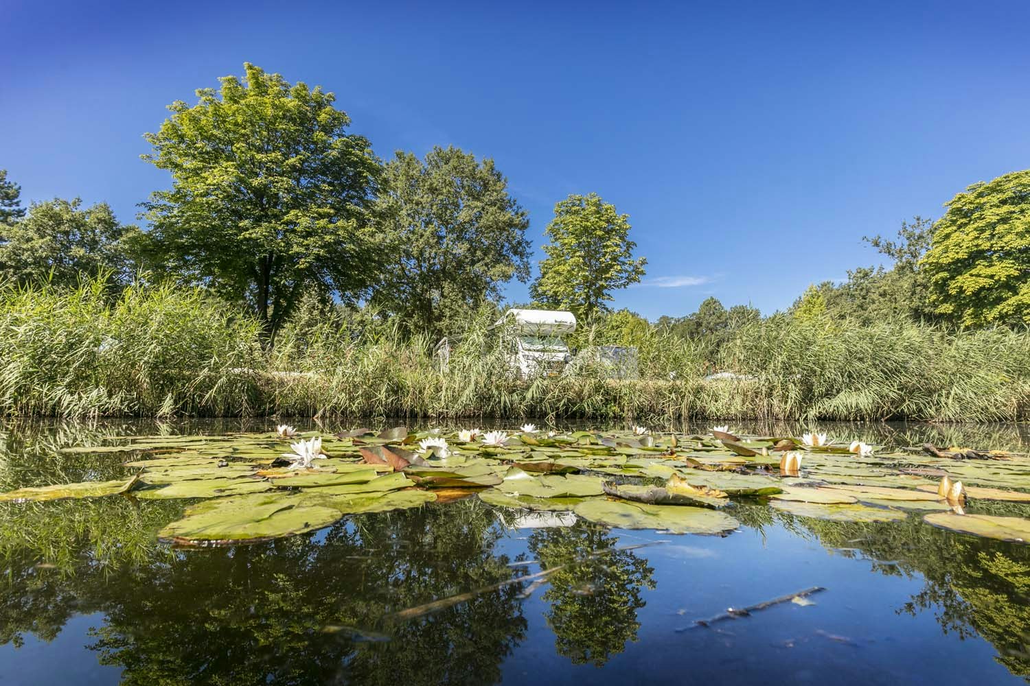 Familiecamping Klein Canada  Camping Klein Canada - Teich auf dem Campingplatz