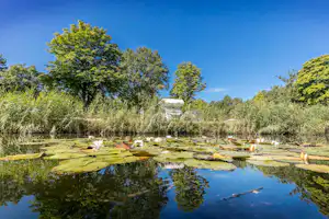 Familiecamping Klein Canada Camping Klein Canada - Teich auf dem Campingplatz