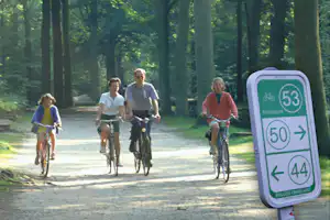 Camping Klein Strand - Fahrradtour entlang des Waldweges