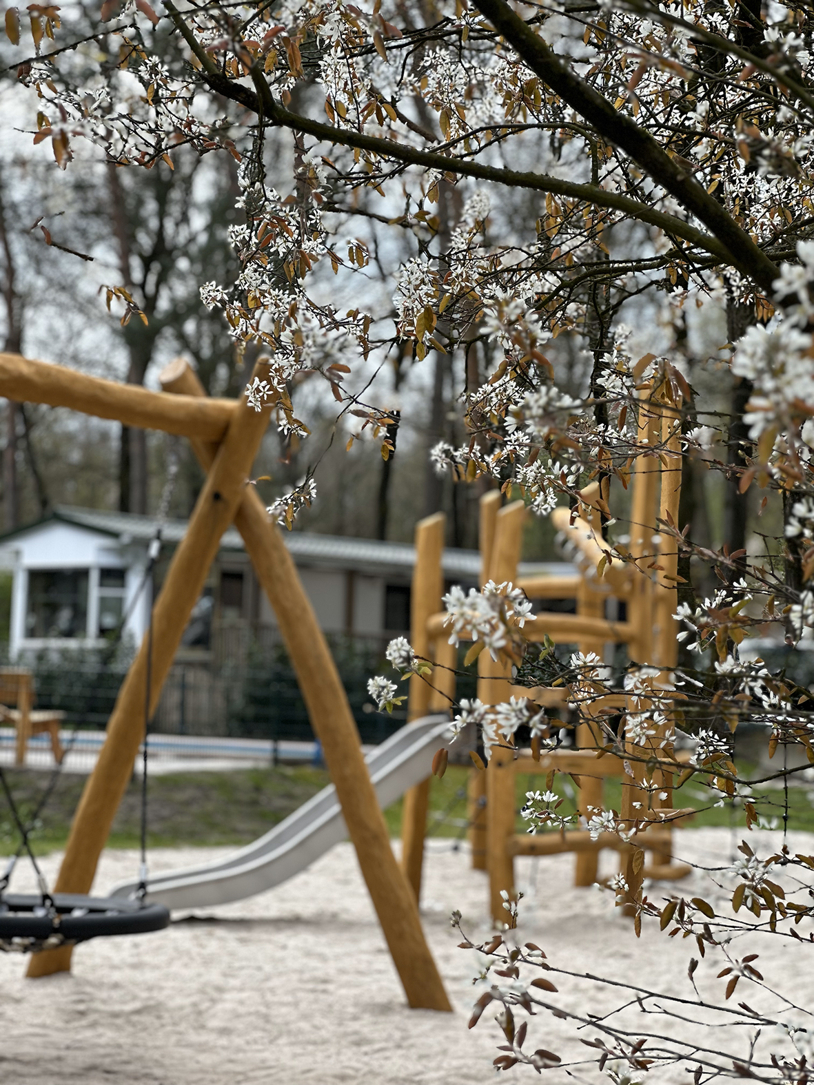 Camping Klein Zwitserland