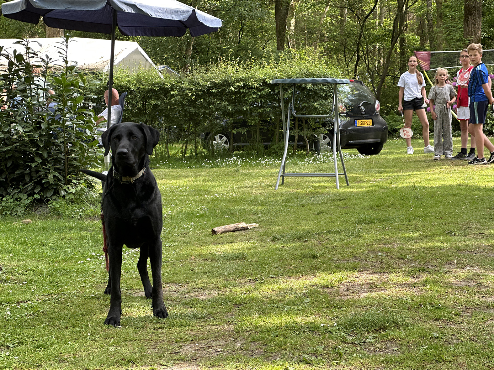 Camping Klein Zwitserland