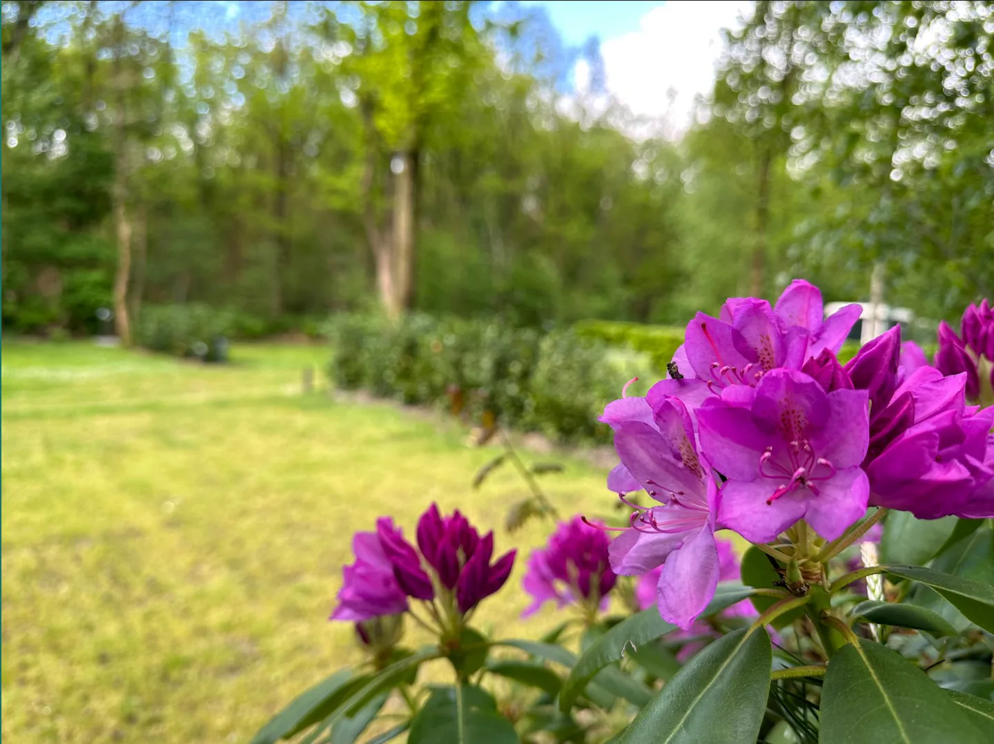 Camping Klein Zwitserland