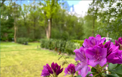 Camping Klein Zwitserland