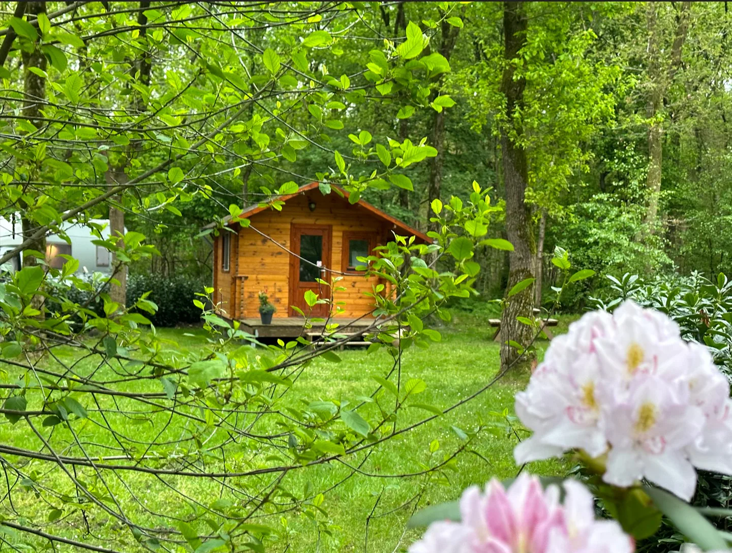 Camping Klein Zwitserland