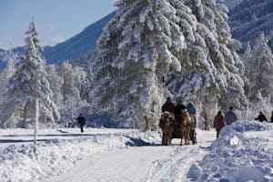 Camping Knaller Weissensee