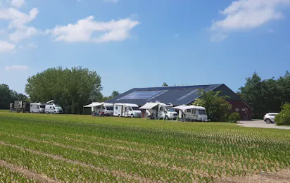 Camping Koegras