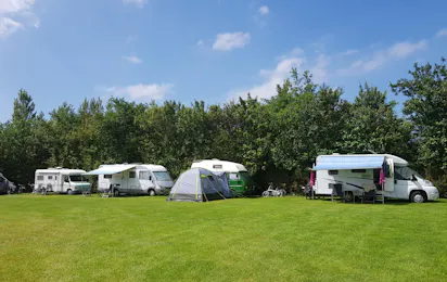 Camping Koegras