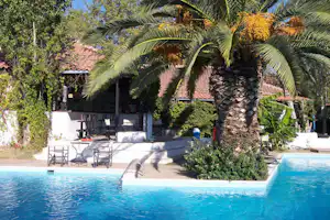 Schwimmbad mit Palmen und Terrasse, Liegen und Tischen vor einem Gebäude im Grünen.