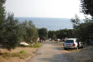 Campingweg am Meer, gesäumt von Olivenbäumen, mit geparktem Auto und Blick auf die blaue Wasserfläche.