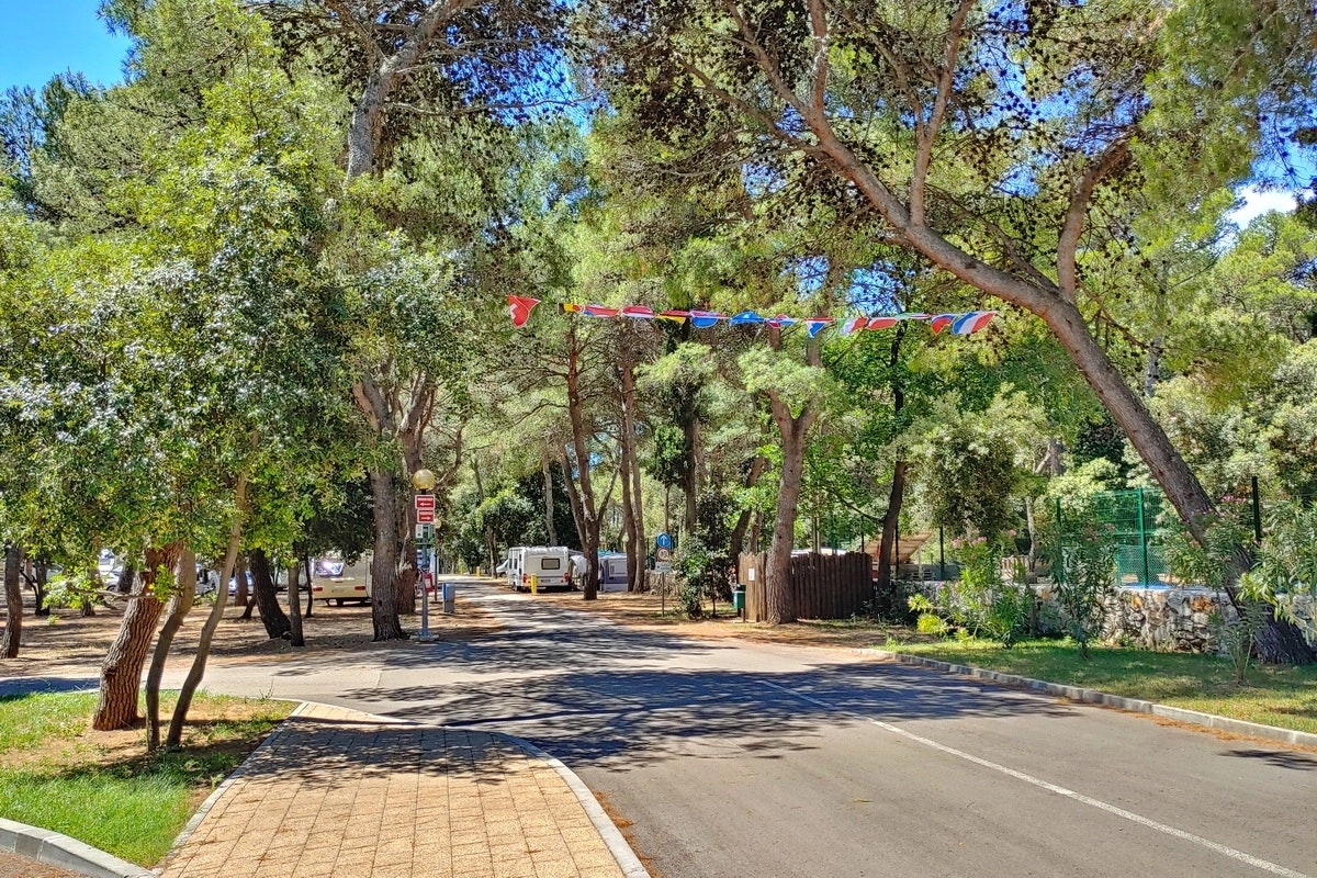 Camping Kozarica - Standplätze auf dem Campingplatz