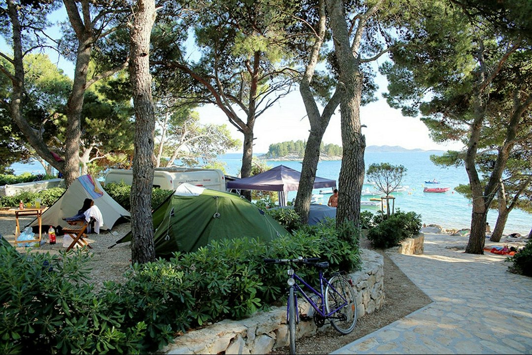Grüne Zelte auf einem Campingplatz zwischen Bäumen, mit Holzbank und Weg zum Ufer, im Hintergrund Wasser und Boote.