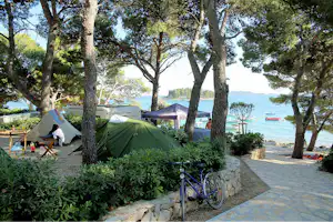 Grüne Zelte auf einem Campingplatz zwischen Bäumen, mit Holzbank und Weg zum Ufer, im Hintergrund Wasser und Boote.