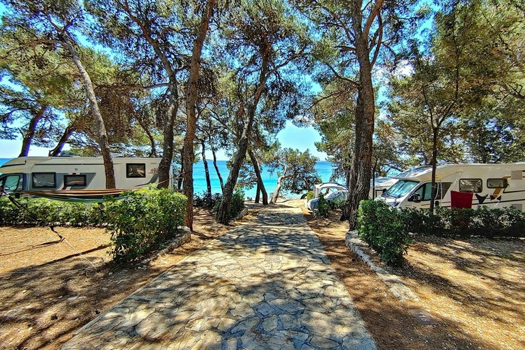Campingplatzweg zwischen hohen Bäumen, Wohnwagen und Wohnmobilen, Blick auf das Meer durch die Bäume.