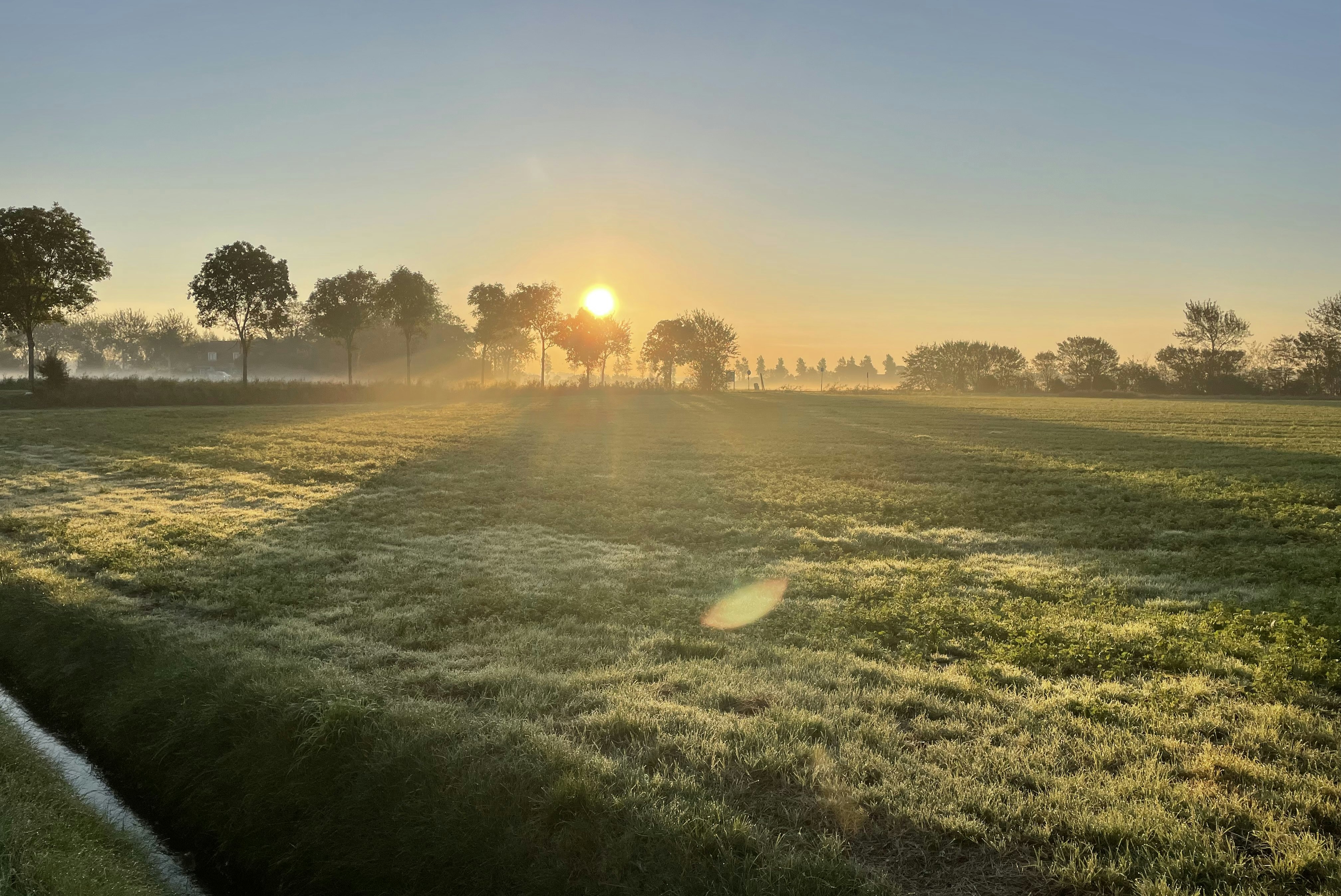 Camping Krijger - Sonnenuntergang über der Wiese