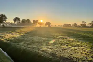 Camping Krijger - Sonnenuntergang über der Wiese