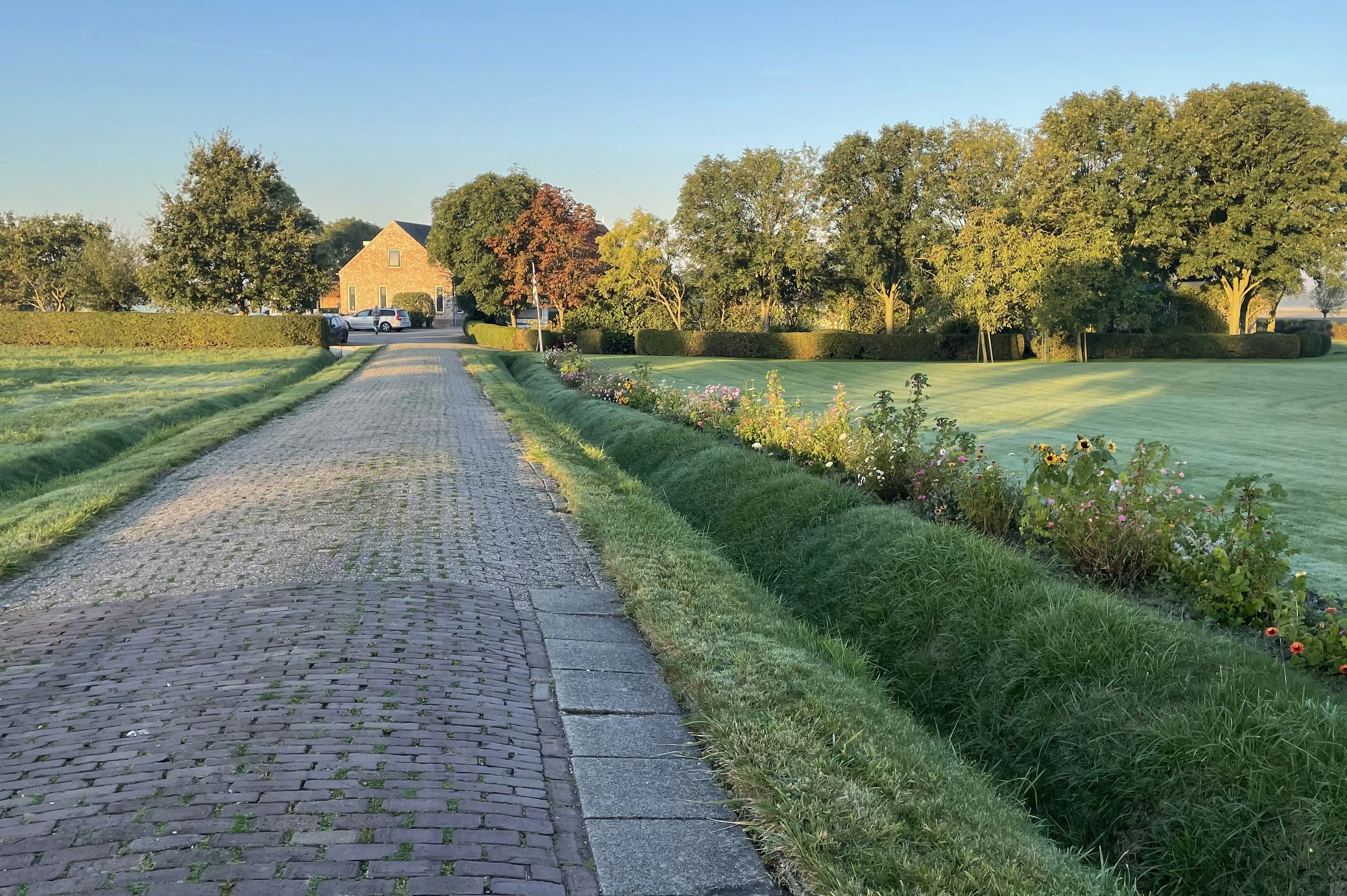 Camping Krijger - Weg zum Campingplatz